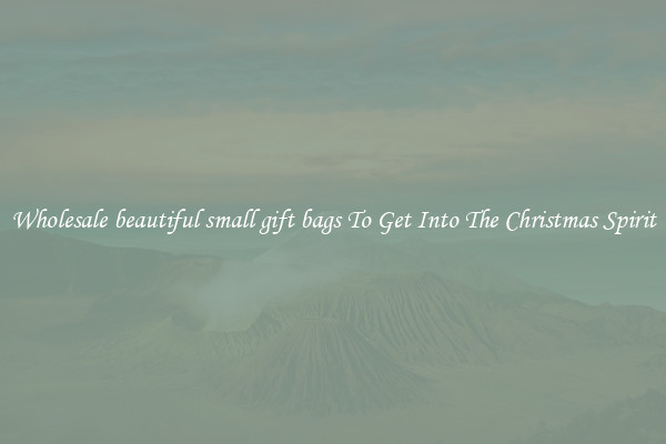 Wholesale beautiful small gift bags To Get Into The Christmas Spirit