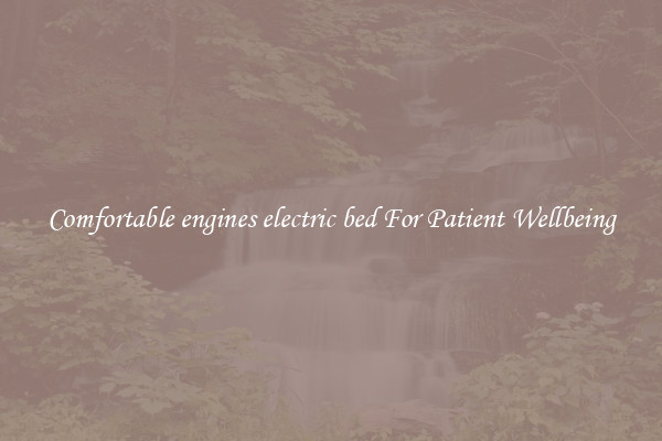 Comfortable engines electric bed For Patient Wellbeing