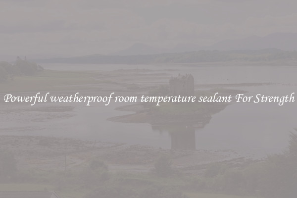 Powerful weatherproof room temperature sealant For Strength