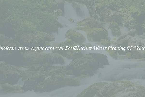 Wholesale steam engine car wash For Efficient Water Cleaning Of Vehicles