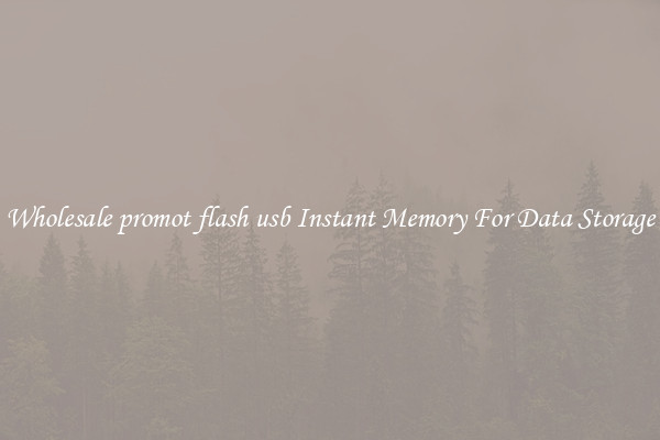 Wholesale promot flash usb Instant Memory For Data Storage