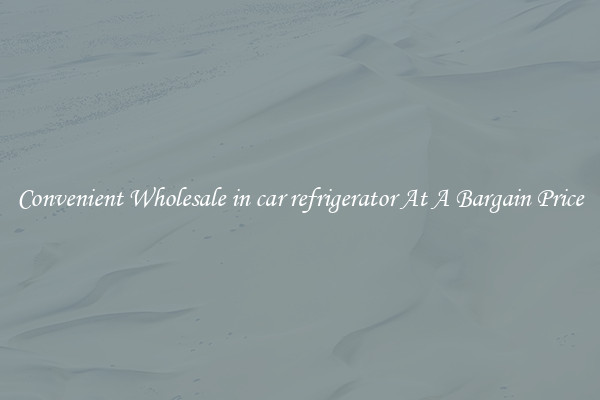 Convenient Wholesale in car refrigerator At A Bargain Price