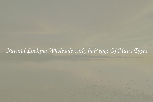 Natural Looking Wholesale curly hair eggs Of Many Types