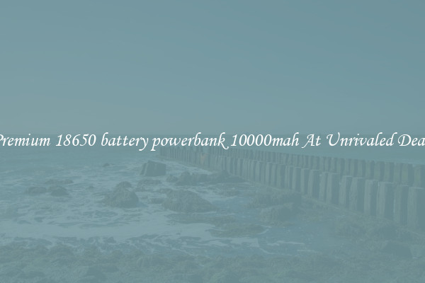 Premium 18650 battery powerbank 10000mah At Unrivaled Deals
