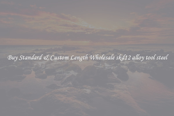 Buy Standard & Custom Length Wholesale skd12 alloy tool steel