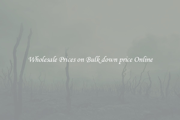 Wholesale Prices on Bulk down price Online