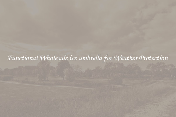 Functional Wholesale ice umbrella for Weather Protection 