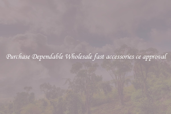 Purchase Dependable Wholesale fast accessories ce approval