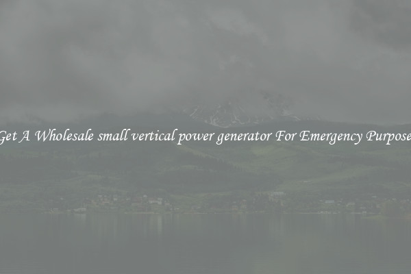 Get A Wholesale small vertical power generator For Emergency Purposes