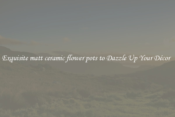 Exquisite matt ceramic flower pots to Dazzle Up Your Décor  