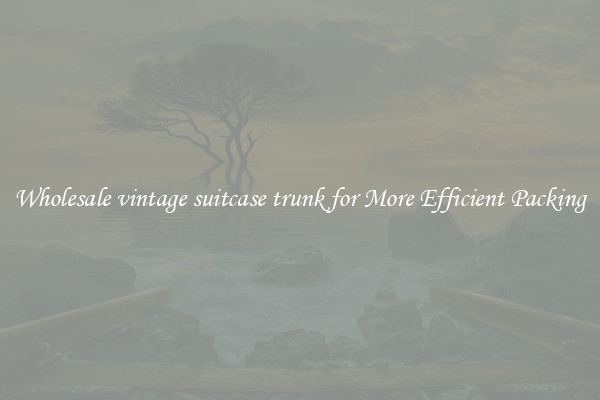 Wholesale vintage suitcase trunk for More Efficient Packing