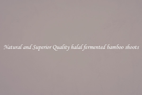 Natural and Superior Quality halal fermented bamboo shoots