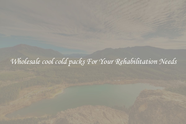 Wholesale cool cold packs For Your Rehabilitation Needs