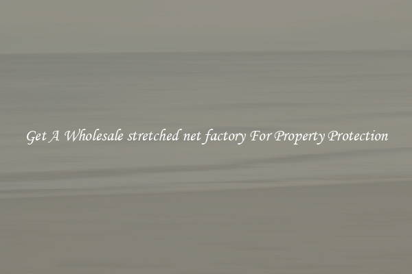 Get A Wholesale stretched net factory For Property Protection