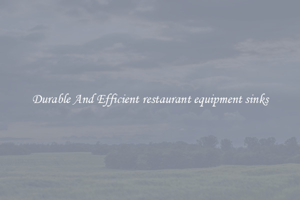Durable And Efficient restaurant equipment sinks
