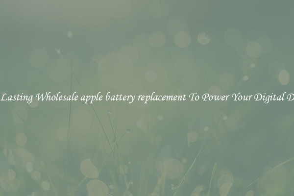 Long Lasting Wholesale apple battery replacement To Power Your Digital Devices